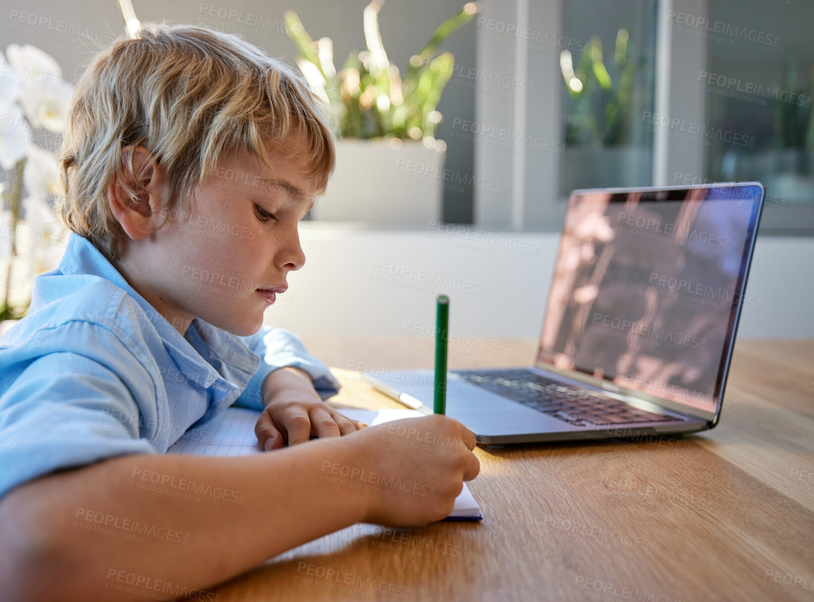 Buy stock photo Young homeschool little boy sitting alone and using laptop to study. Caucasian child writing and learning remotely due to covid pandemic. Kid studying online classes with technology through video call