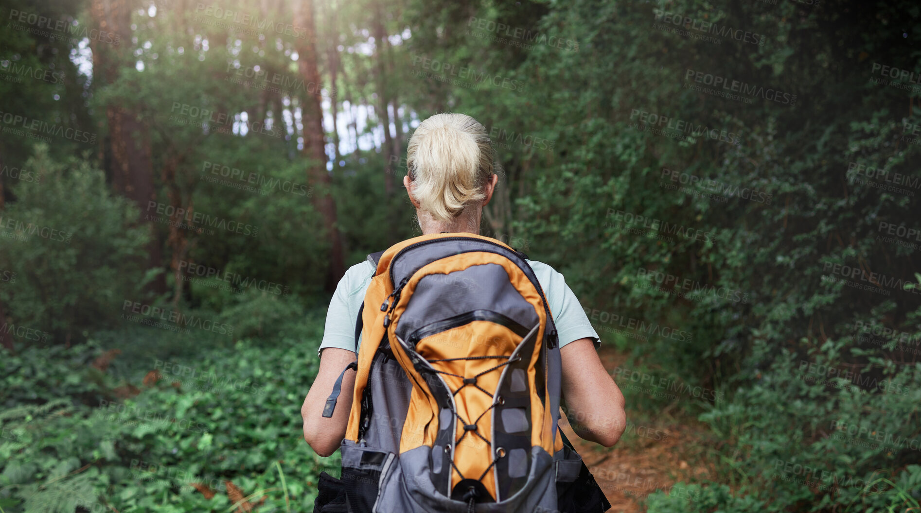 Buy stock photo Travel, forest and woman rear on hiking journey, jungle adventure or nature wellness and outdoor explore. Fitness, walking and hiker person in backpack trekking, tropical woods path and cardio health