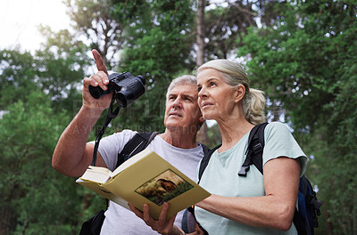 Senior caucasian couple using binoculars and a book while doing bird watching in a forest during a hike. Mature husband and wife exploring in a forest