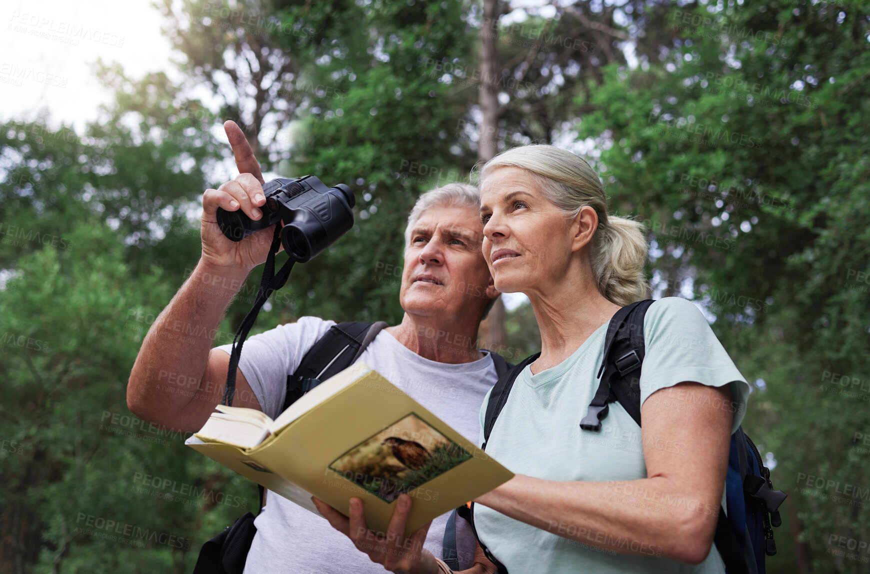 Buy stock photo Book, bird watching and search with old couple in nature for bonding, discovery and travel adventure. Relax, hiking and view with senior man and woman in forest for explore, retirement and hobby