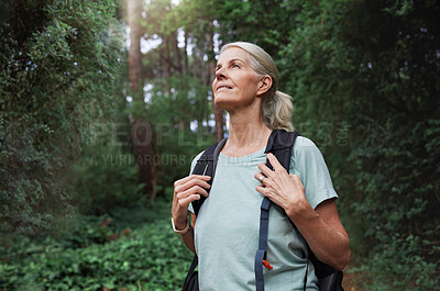 Portrait of a woman wearing a backpack hiking through a forest in nature alone. Female walking on a trail in the outdoors and smiling while enjoying the view