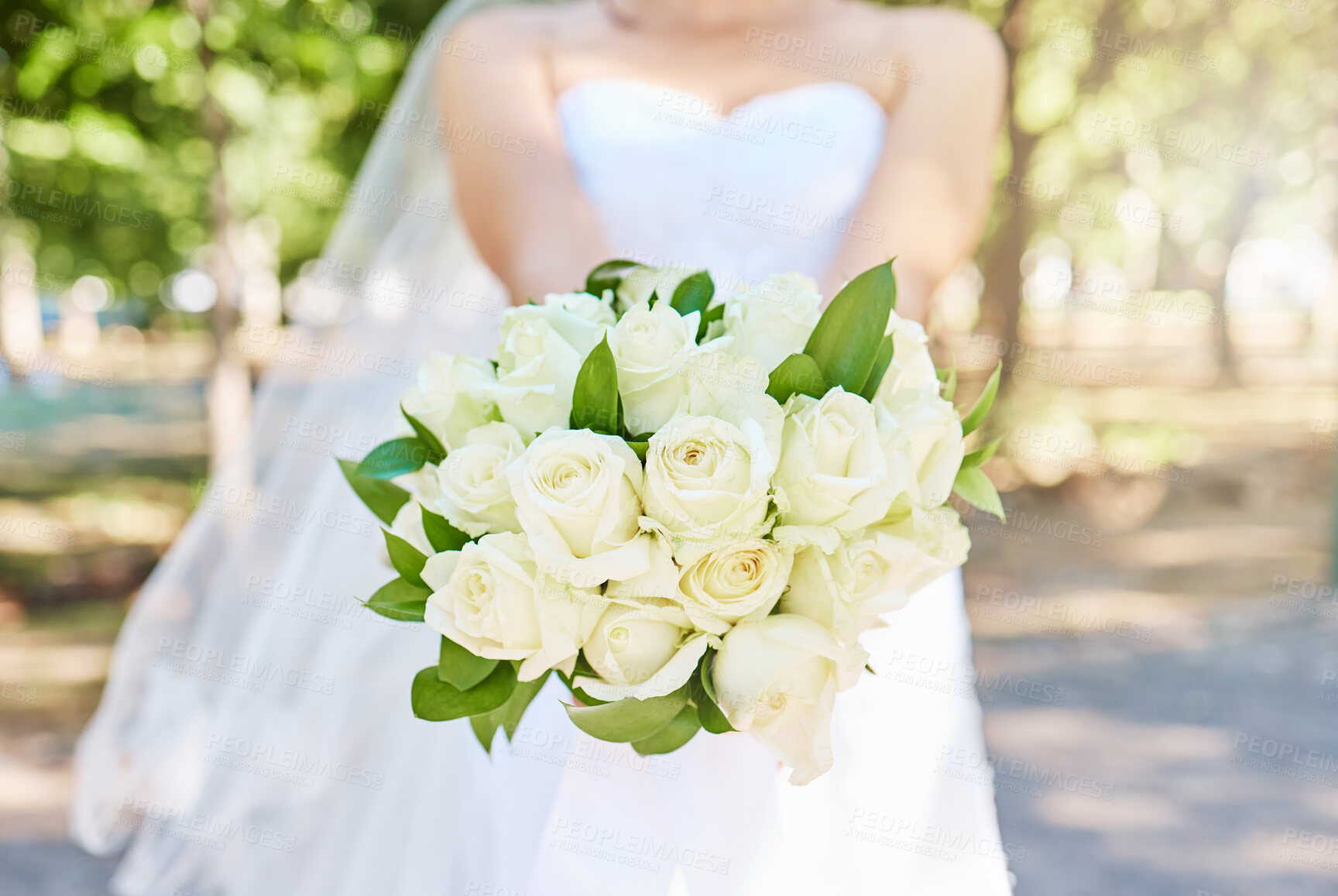 Buy stock photo Close up of bride holding a bouquet of flowers while standing outside on a sunny day. Beautiful wedding bouquet of white roses