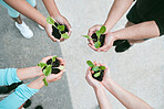 Closeup of diverse group of people from above holding green plants in palm of hands with care to nurture and protect nature. Uniting to support seedlings with growing leaves as a symbol of being environmentally sustainable and responsible