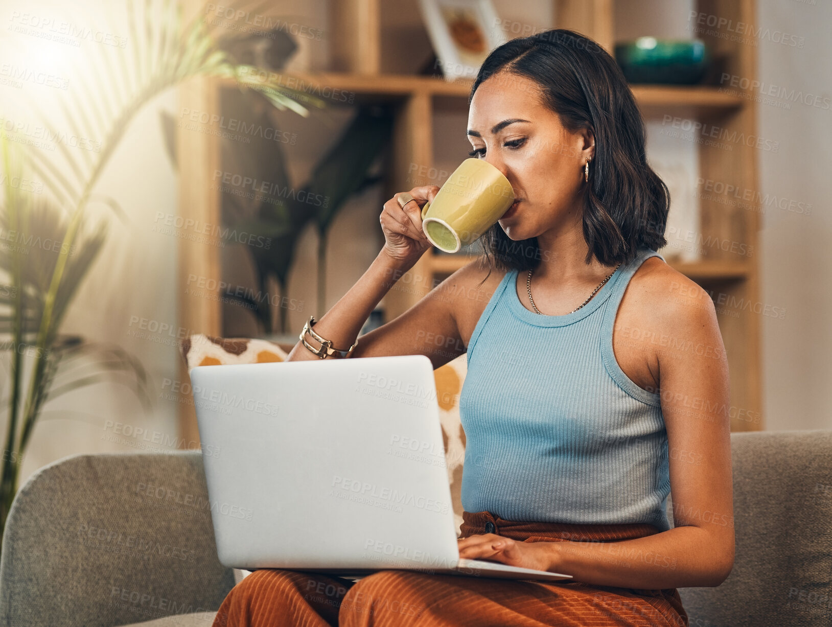 Buy stock photo Beautiful mixed race woman using laptop for blogging and drinking coffee in home living room. Hispanic entrepreneur sitting alone on lounge sofa and typing blog post on technology. Blogger remote work