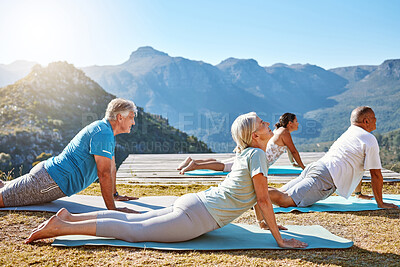 Group of diverse seniors practicing cobra pose during group yoga training. Mature people exercising together in nature with mountain view in background. Retirees living healthy active lifestyle
