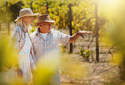 Buy stock photo Two senior farmers talking in vineyard. Elderly man and woman standing on a wine farm and pointing while looking at the crops. Colleagues and friends discussing agriculture and produce for harvest