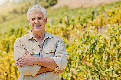 Buy stock photo Smiling senior caucasian confident farmer standing alone with his arms crossed on his vineyard. Elderly man with his arms folded on a wine farm in summer. Proud farmer with his crops and agriculture