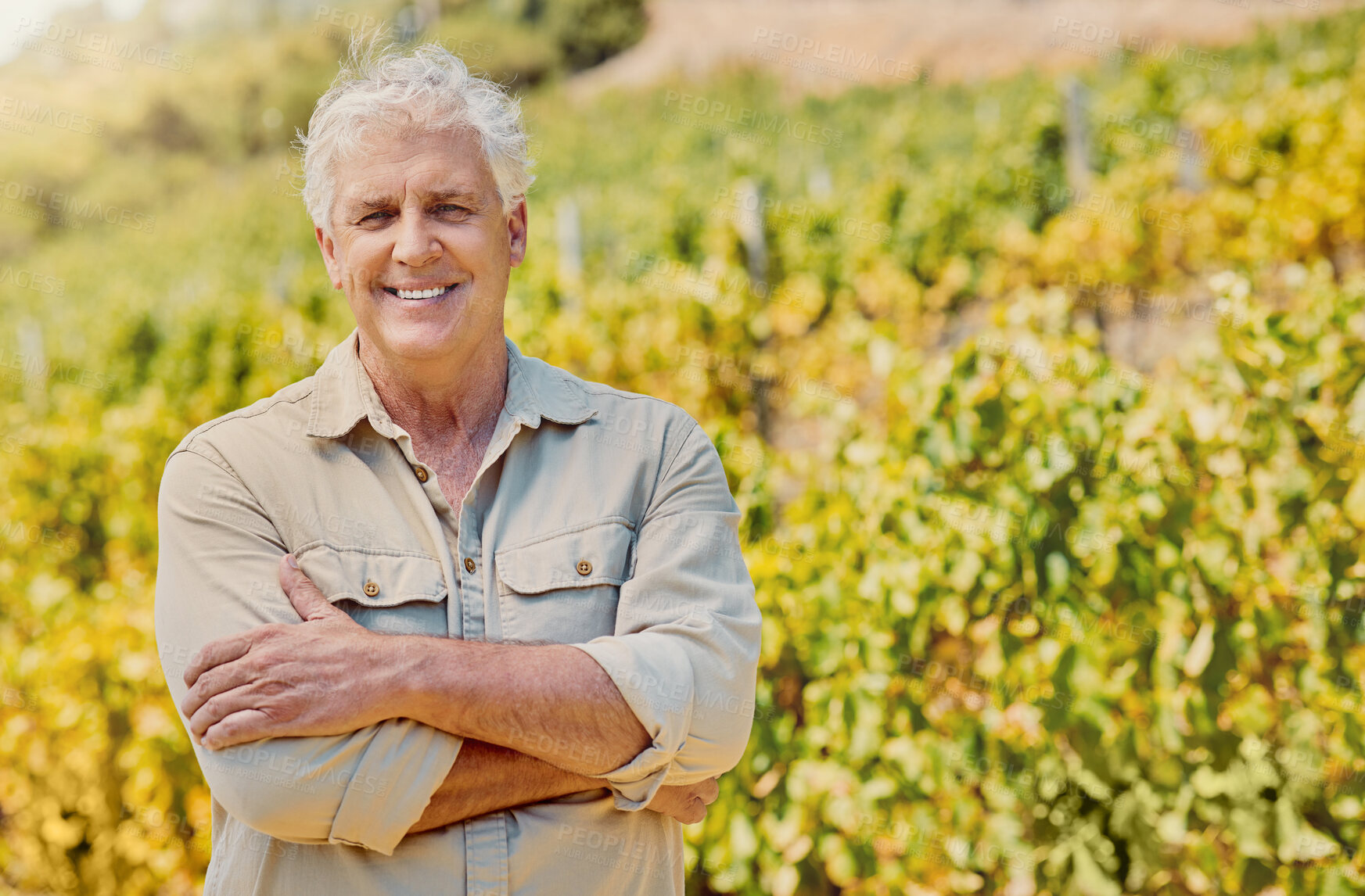 Buy stock photo Smiling senior caucasian confident farmer standing alone with his arms crossed on his vineyard. Elderly man with his arms folded on a wine farm in summer. Proud farmer with his crops and agriculture