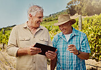 Two happy senior farmers standing and talking while using a digital tablet on their vineyard. Smiling elderly men and colleagues bonding and laughing together on a wine farm in summer before harvest