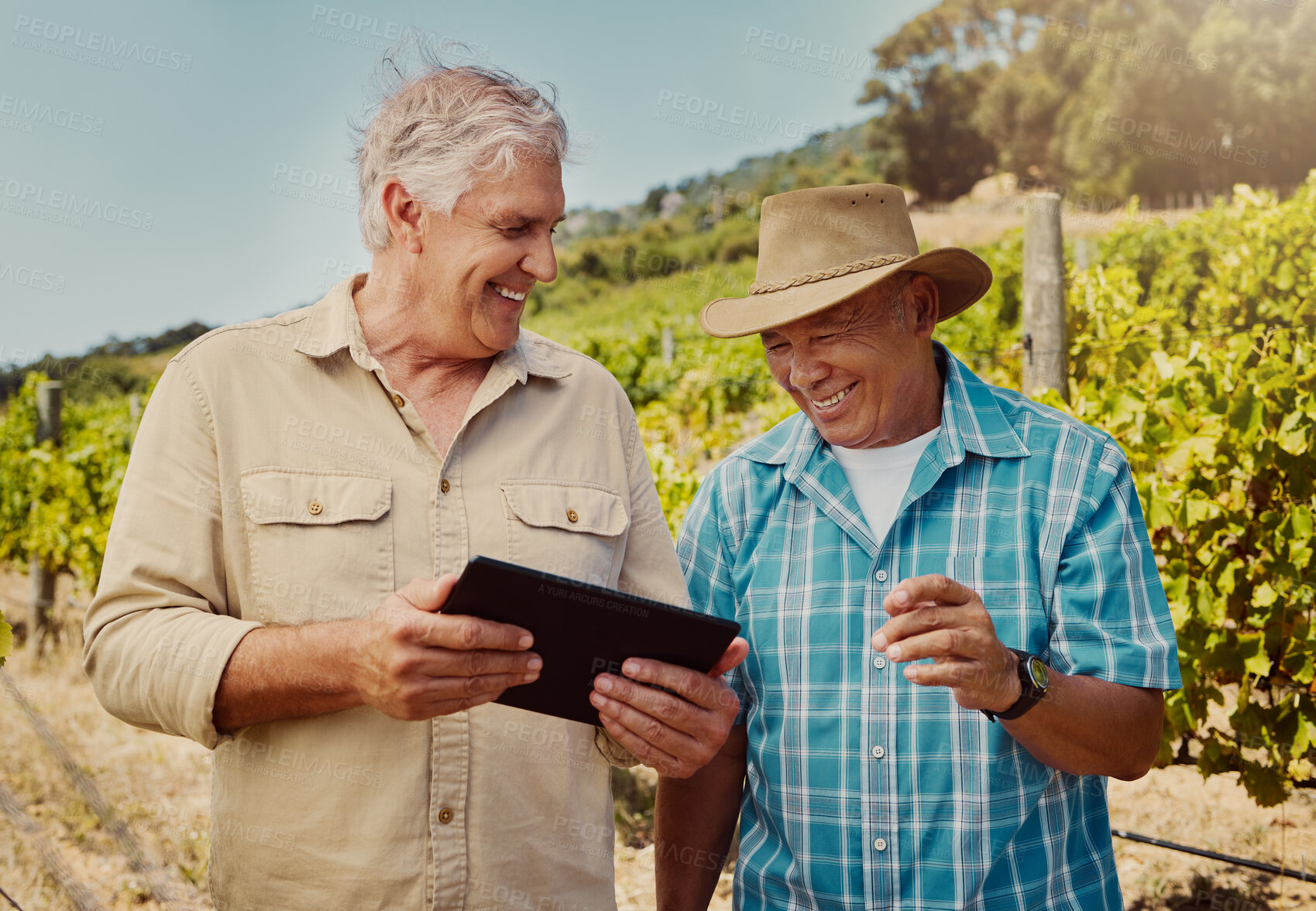 Buy stock photo Two happy senior farmers standing and talking while using a digital tablet on their vineyard. Smiling elderly men and colleagues bonding and laughing together on a wine farm in summer before harvest