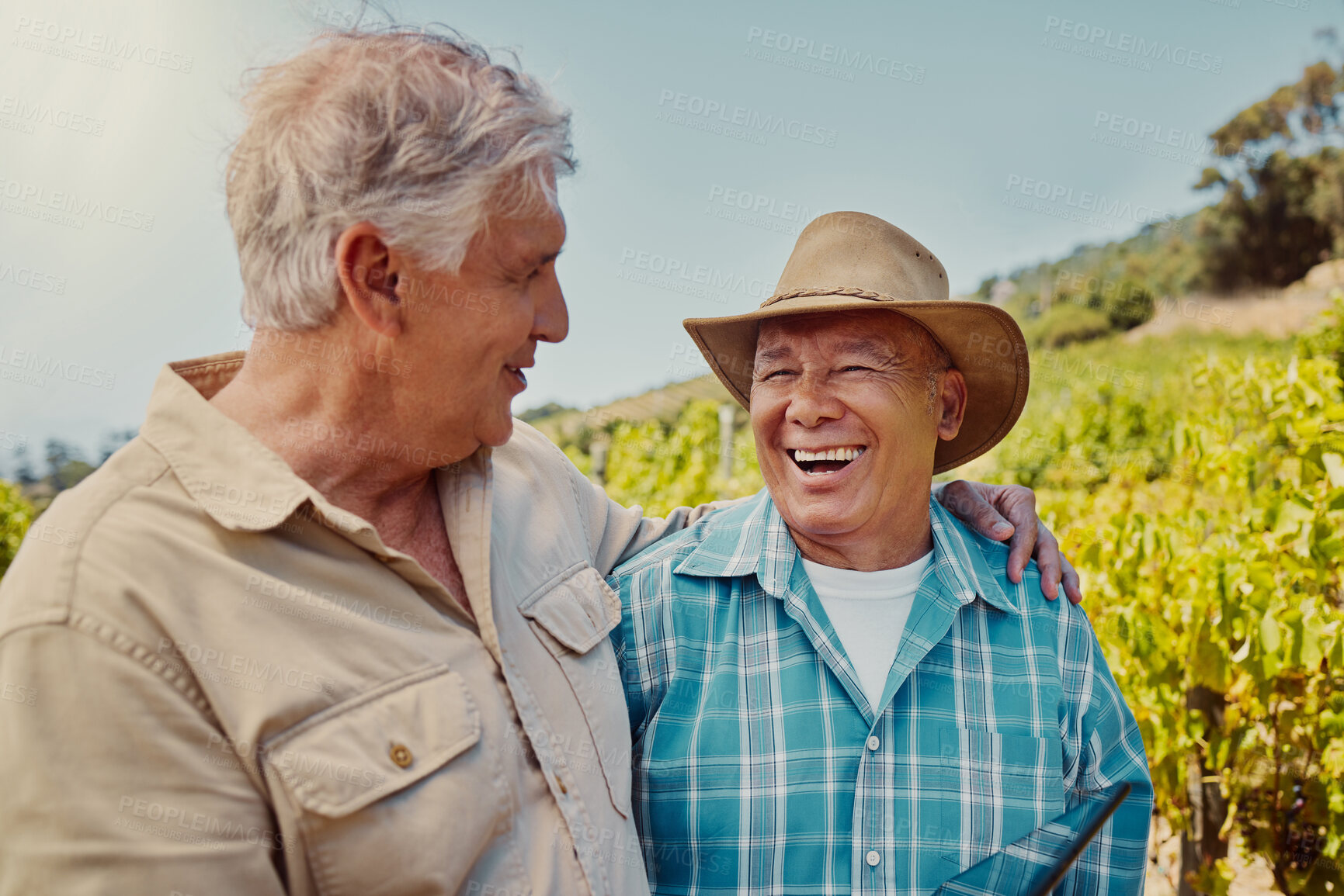 Buy stock photo Two happy senior farmers standing and embracing on their vineyard. Smiling elderly Caucasian and mixed race men and colleagues bonding and laughing together on a wine farm in summer before harvest