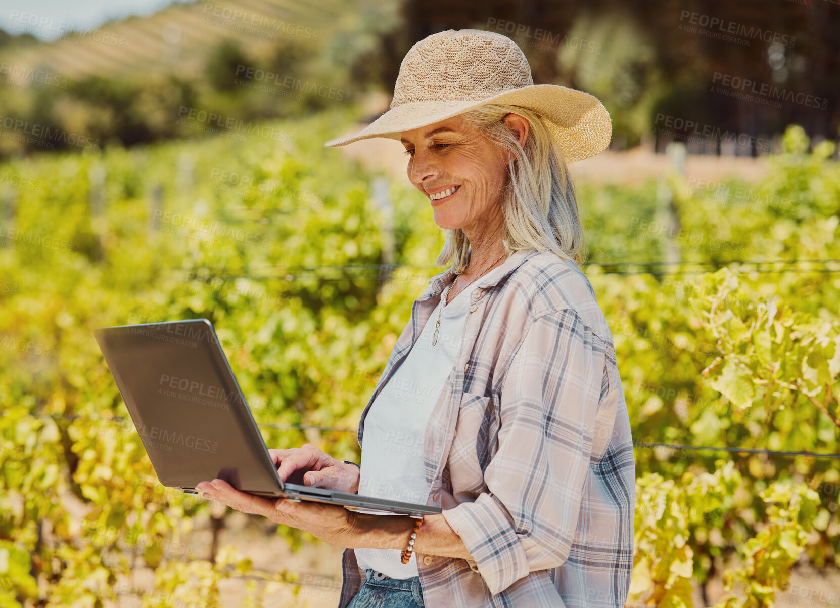 Buy stock photo One smiling senior farmer holding and using a laptop on her vineyard. Happy elderly Caucasian woman browsing the internet around her crops and produce on wine farm in summer. Connected online on farm