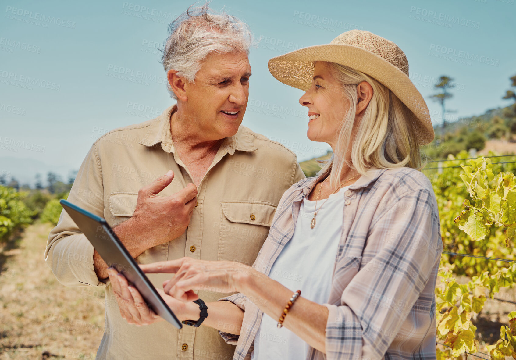Buy stock photo Two happy senior farmers standing and talking while using digital tablet on a vineyard. Smiling elderly man and woman bonding on a wine farm in summer before harvest. Elderly couple standing together