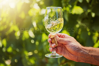 Closeup of unknown farmer swirling white wine in a wineglass on his farm. Caucasian man holding a filled glass with alcohol and booze for tasting during summer on his vineyard. Weekend wine tasting