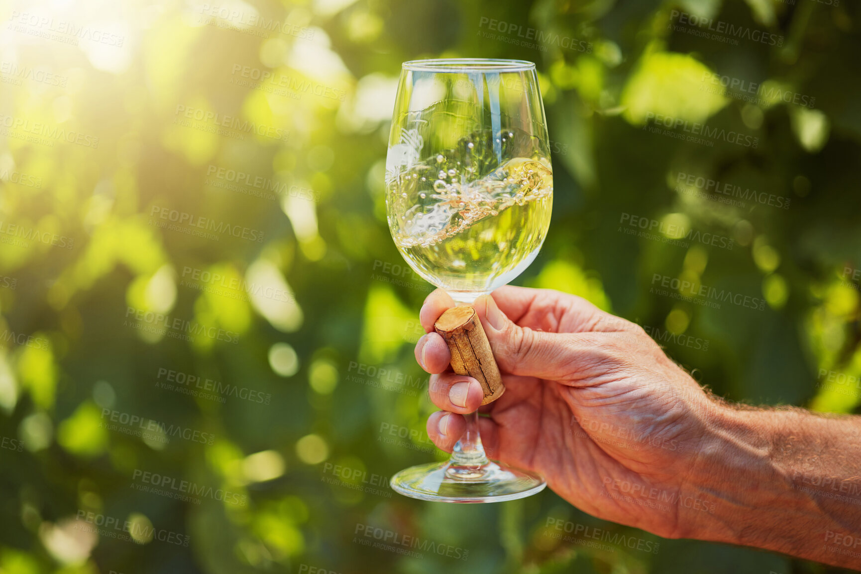 Buy stock photo Closeup of unknown farmer swirling white wine in a wineglass on his farm. Caucasian man holding a filled glass with alcohol and booze for tasting during summer on his vineyard. Weekend wine tasting