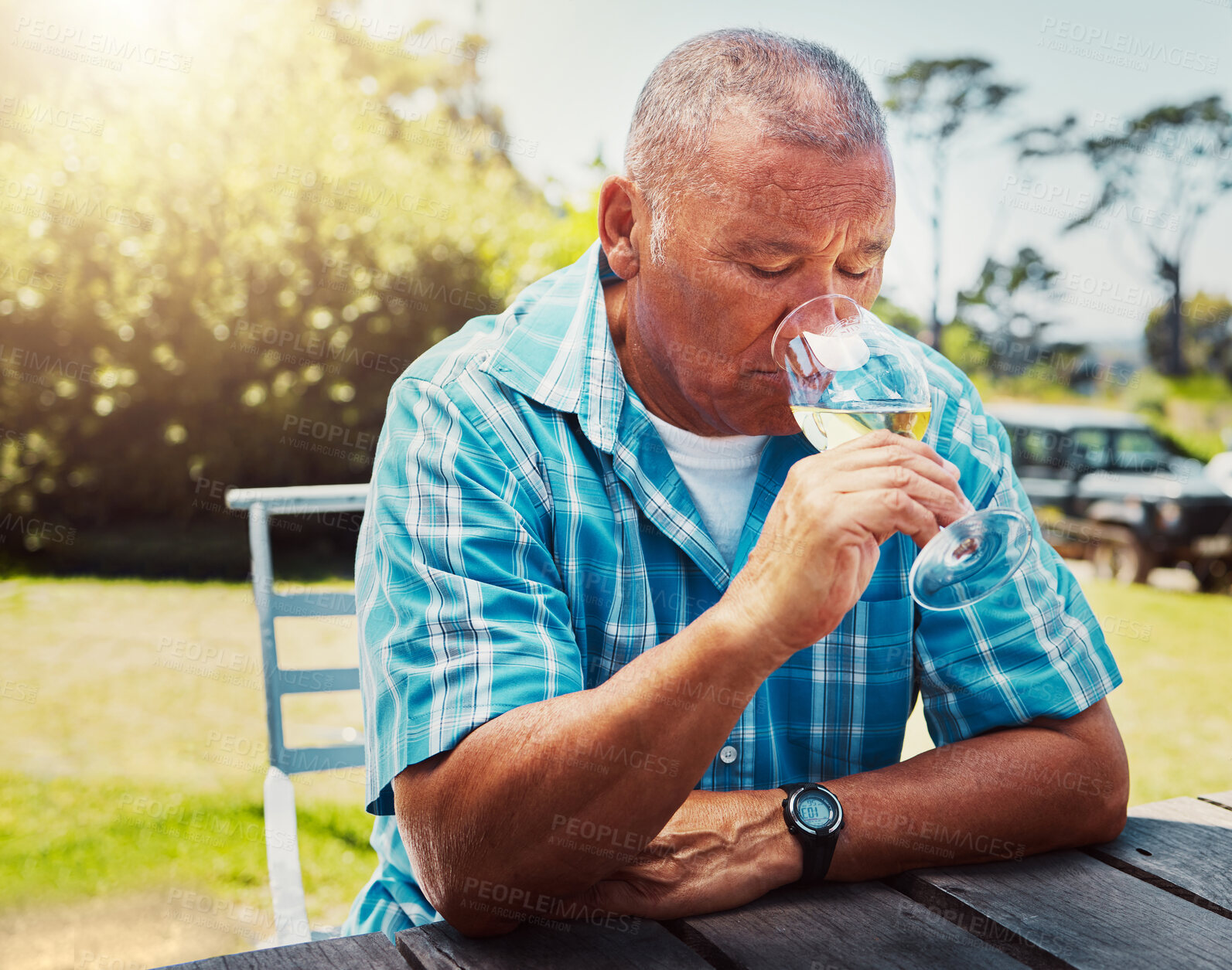 Buy stock photo One senior mixed race man sitting alone and drinking glass of white wine during wine tasting on a vineyard. Elderly hispanic man holding and enjoying alcohol from a wineglass on farm during a weekend