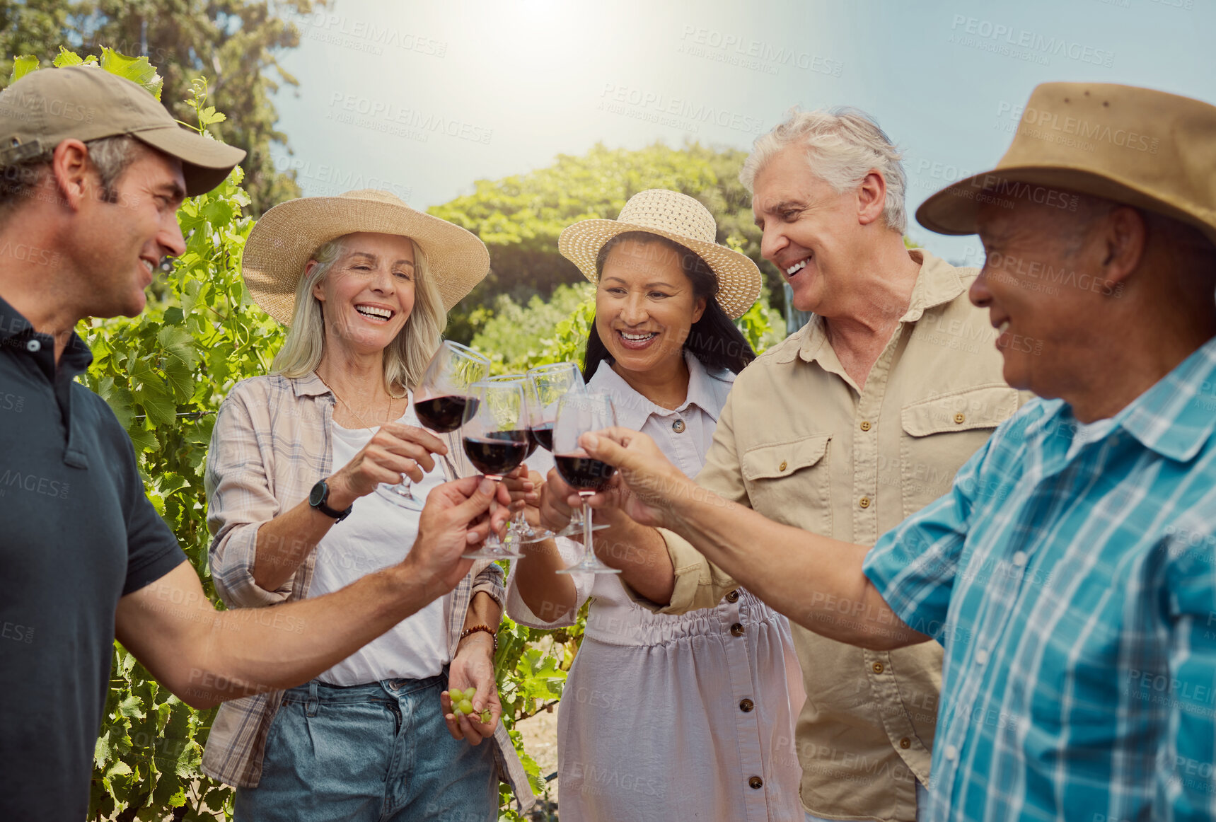 Buy stock photo Diverse group of friends toasting with wineglasses on vineyard. Happy group of people standing together and bonding during wine tasting on farm over a weekend. Friends enjoying white wine and alcohol