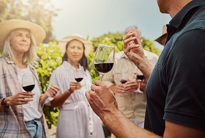 Farmer talking and explaining to diverse group of friends while holding wineglass of red wine on farm. People standing together with alcohol for tasting during summer on vineyard. Weekend wine tasting