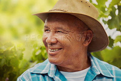 Buy stock photo Closeup headshot of one smiling mixed race senior man standing alone on a vineyard with copyspace. Happy hispanic man wearing a hat during a wine tasting on a farm during the weekend. Enjoying summer