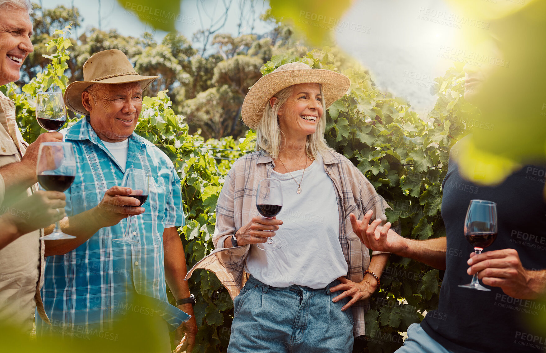 Buy stock photo Farmer talking and explaining to diverse group of friends while holding wineglass of red wine on farm. People standing together with alcohol for tasting during summer on vineyard. Weekend wine tasting