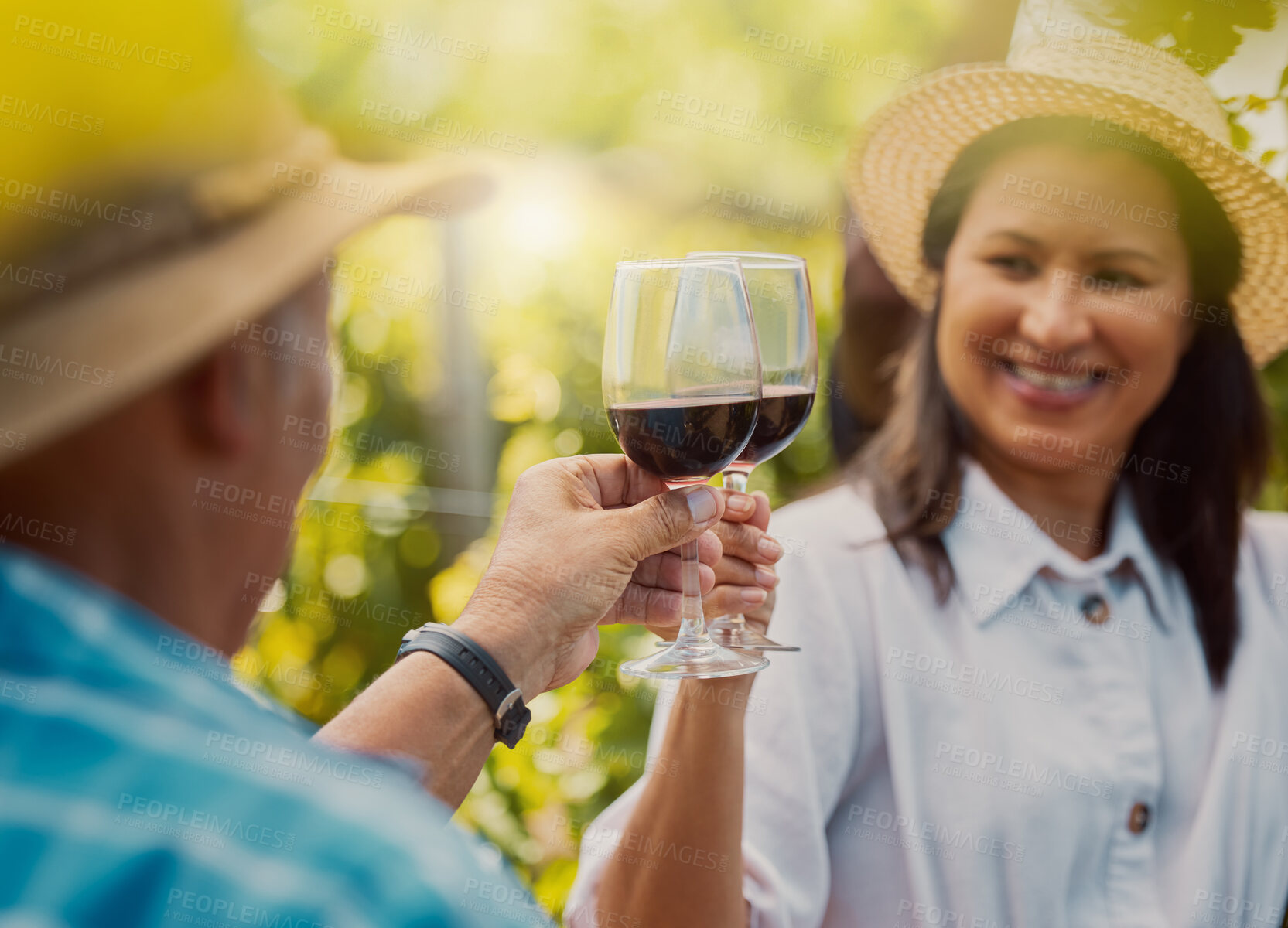 Buy stock photo Smiling mixed race couple toasting with wineglasses on vineyard. Happy hispanic husband and wife standing together and bonding during wine tasting on farm on weekend. Man and woman enjoying alcohol