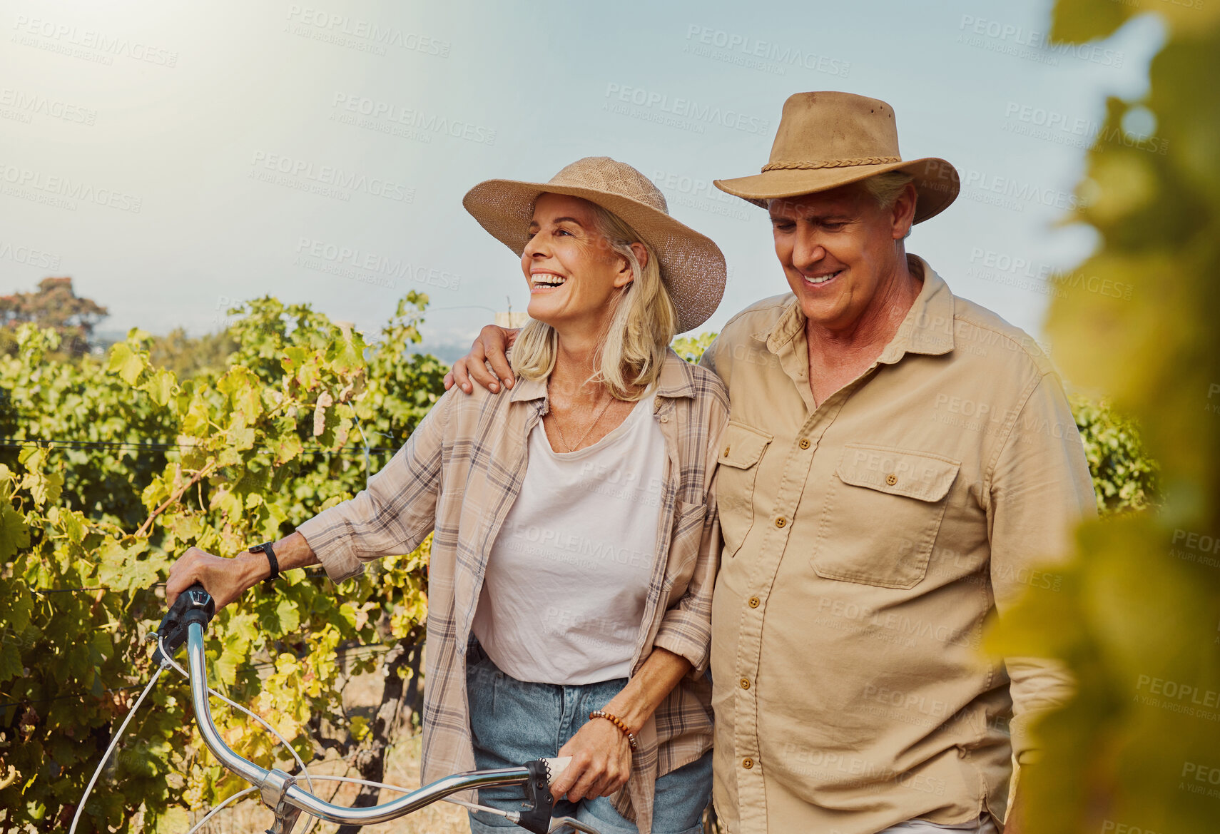 Buy stock photo Smiling senior couple walking together while bonding on vineyard. Happy caucasian husband and wife pushing bicycle while enjoying day on farm after wine tasting on weekend. Man and woman on wine farm