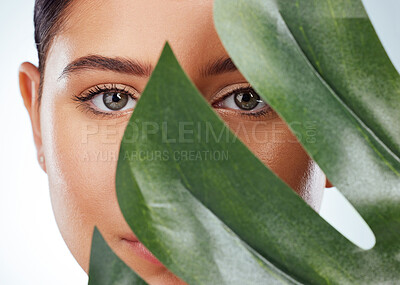 Closeup portrait of unknown woman covering her face with a green monstera plant leaf. Headshot of caucasian model posing against a grey background in a studio with smooth skin, fresh healthy skincare
