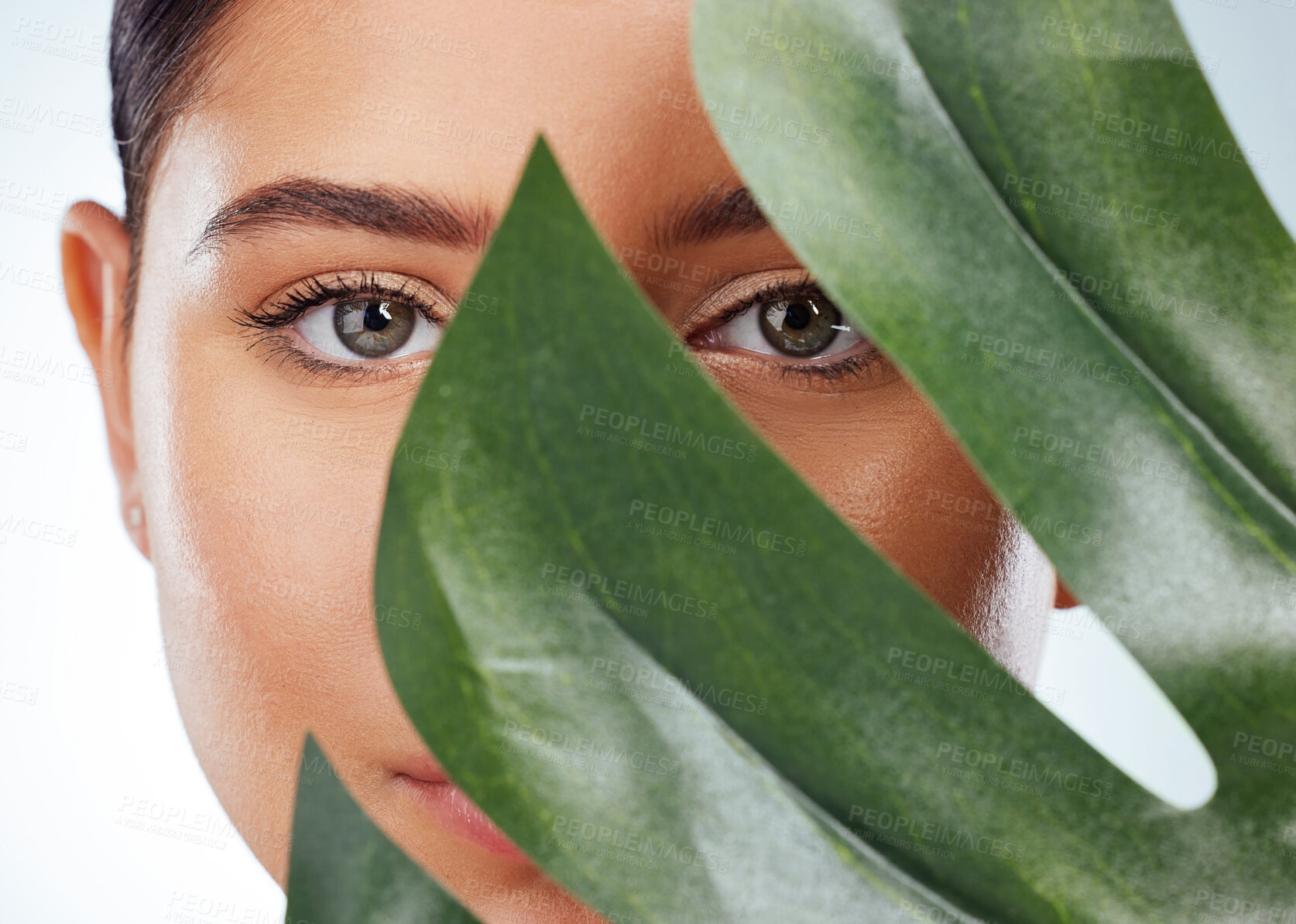 Buy stock photo Closeup portrait of unknown woman covering her face with a green monstera plant leaf. Headshot of caucasian model posing against a grey background in a studio with smooth skin, fresh healthy skincare