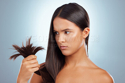 Buy stock photo A young mixed race woman looking unhappy with her unhealthy hair against a grey background. Hispanic female expressing dissatisfaction at her split ends