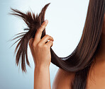 Closeup of unknown mixed race woman holding her unhealthy hair against a grey background. Hispanic females hands holding her split ends