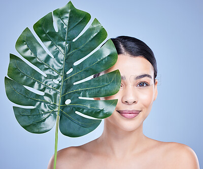 Buy stock photo Studio portrait of a beautiful mixed race woman posing with an exotic leaf. Young hispanic using an organic skincare treatment against a blue copyspace background