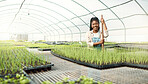Portrait of a happy farmer in her garden. African american farmer in a greenhouse. Smiling farmer standing in a nursery. farmer standing in a sustainable farm. Young woman working on a farm