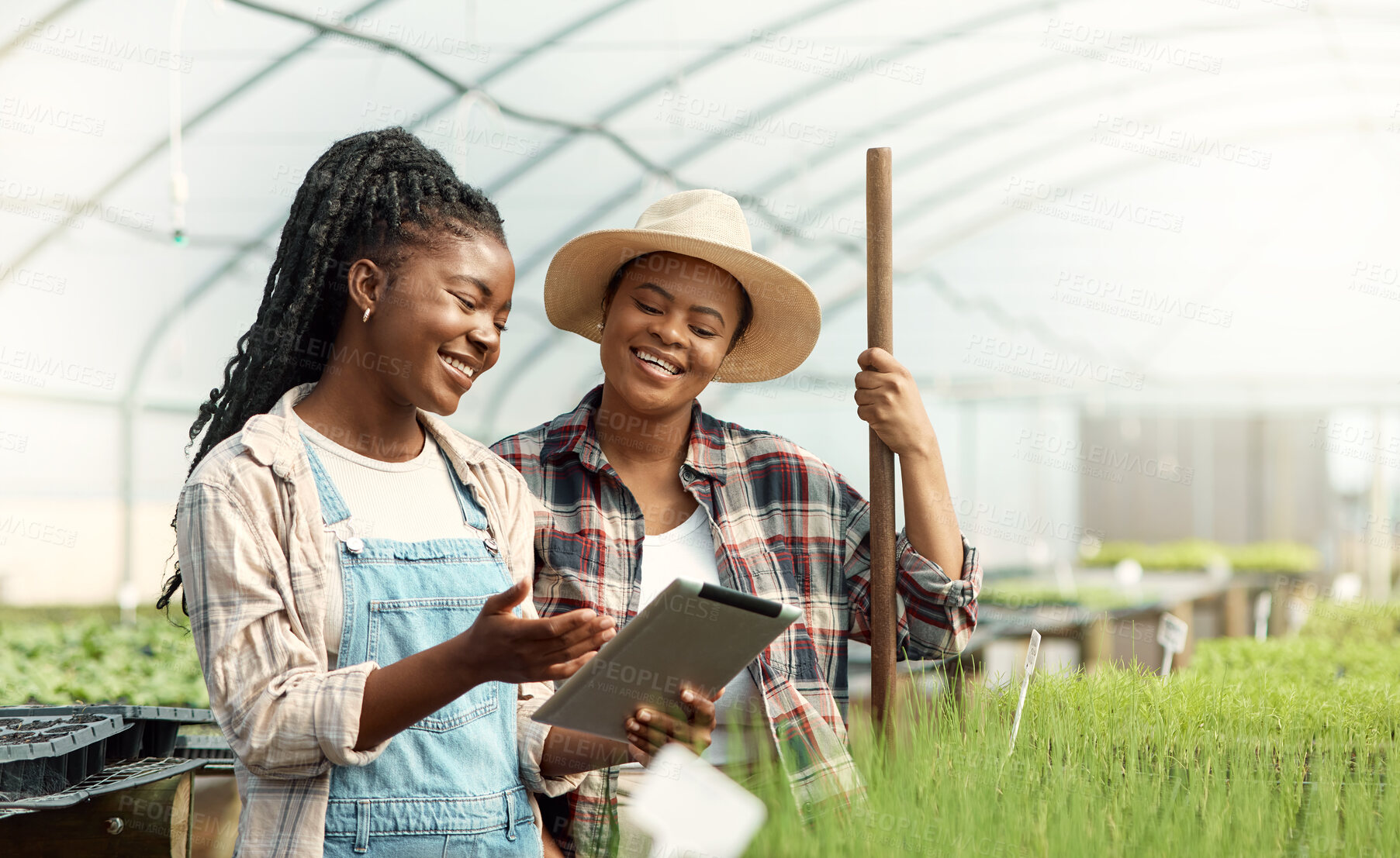 Buy stock photo Coworkers using a digital tablet in a greenhouse. Happy colleagues collaborating and planning on a tech device. farmers using wireless tablet to work online. Farmers cultivating plants in a nursery