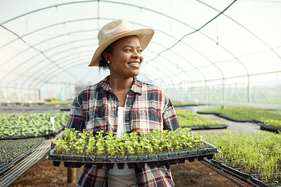 Buy stock photo Young farmer holding a tray of plants. African american farmer holding growing seedlings. Happy young farmer in her greenhouse. Confident young farmer carrying plants in her garden