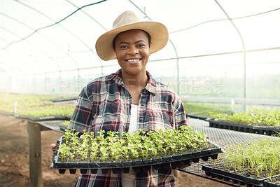 Buy stock photo Portrait of a farmer holding plants. African american farmer carrying a tray of plants. Farmer holding growing seedlings. Young farmer holding growing saplings.Happy african american farmer