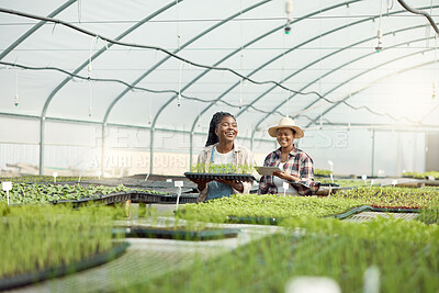 Buy stock photo Two farmers walking through a greenhouse. African american farmer carrying a tray of plants. Two colleagues planning their planting strategy. Farmer coworkers collaborating using a digital tablet