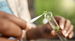 hand of botanist putting plant sample into test tube. Closeup of farmer collecting research sample. farmer putting sample into vial. Biologist using plant sample for chemistry.