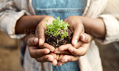 Buy stock photo Closeup of sprouting plant bud. Hands of two farmers holding soil with a plant. Coworkers conserving plants. Closeup of hands of of two farmers holding dirt with blooming plant