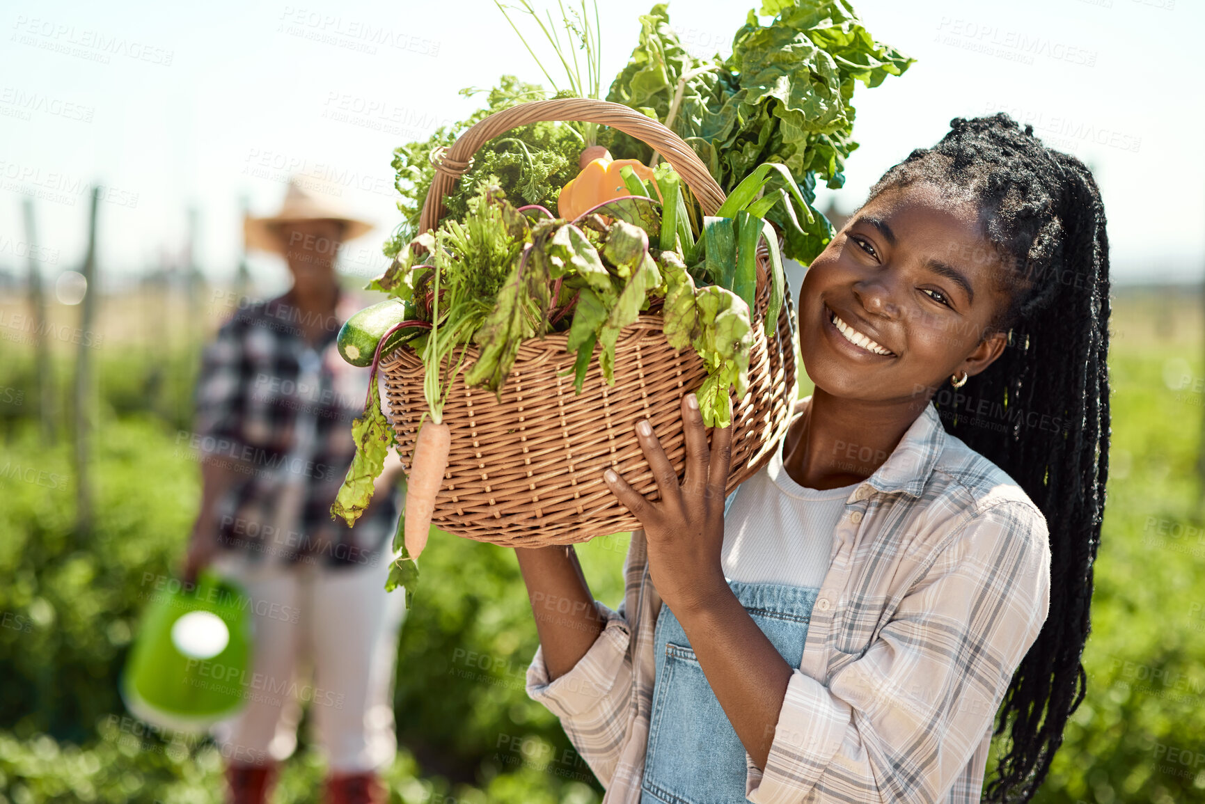 Buy stock photo farmer working with organic produce on a farm. Portrait of a farmer holding a basket of produce. Young farmer holding a basket of harvested vegetables. Happy farmer standing in a garden