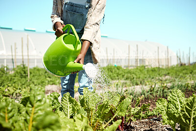 Buy stock photo hand of farmer watering spinach plants. Farmer using a watering can. Plants being watered on a farm. Crops being cultivated and watered. African american farmer watering organic spinach plants