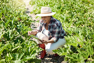 Buy stock photo Young farmer sitting in a garden. Happy farmer using a digital tablet. African american farmer checking plants. Farmer using digital device to check produce. Smiling farmer checking plants