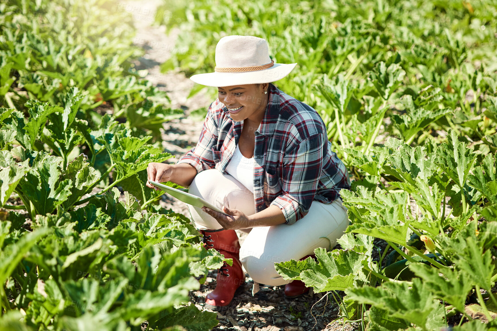 Buy stock photo Young farmer sitting in a garden. Happy farmer using a digital tablet. African american farmer checking plants. Farmer using digital device to check produce. Smiling farmer checking plants