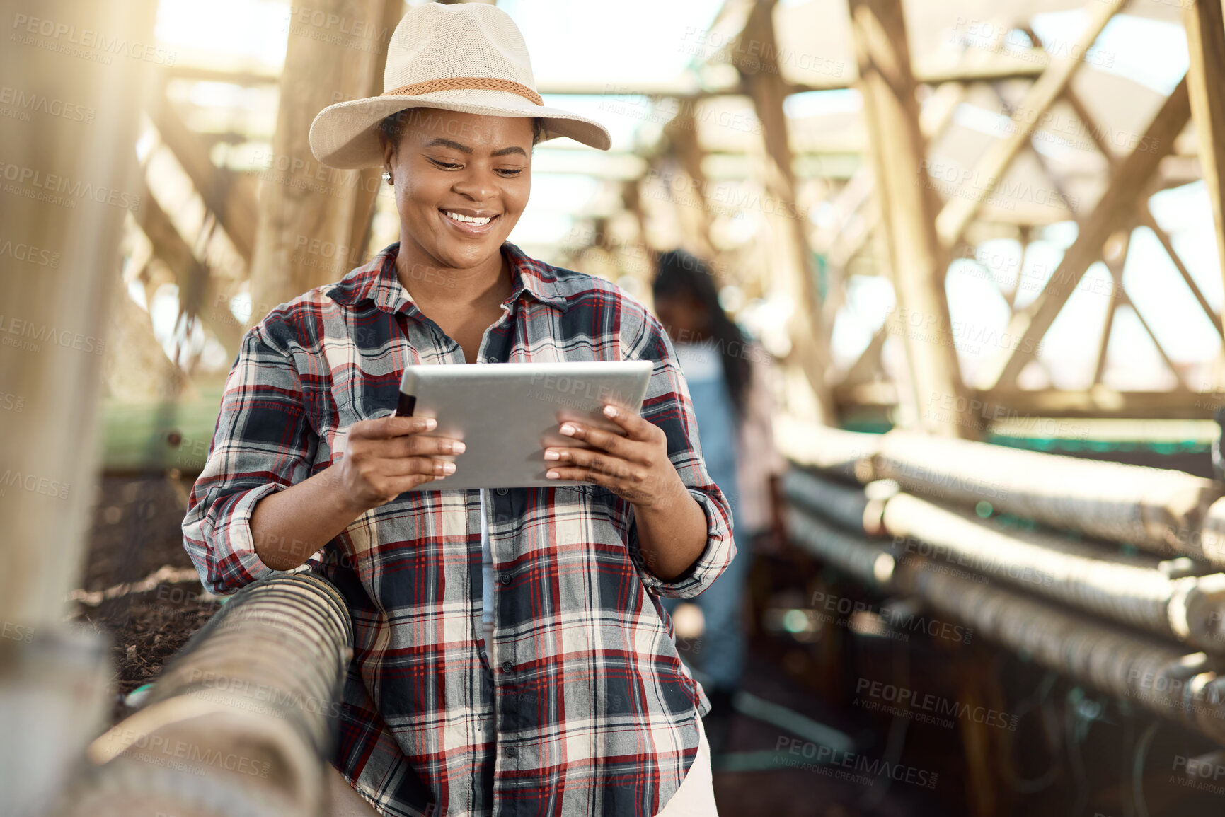 Buy stock photo Young farmer using a tablet. African american farmer in a greenhouse. Happy woman working on a farm. Smiling farmer using a digital device. Young farmer standing in her garden