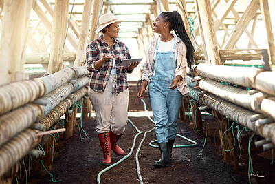 Happy farmers walking through a greenhouse. farmers talking, using a digital tablet. African american farmers talking. Smiling farm workers walking through a garden. Farmers using a digital device.