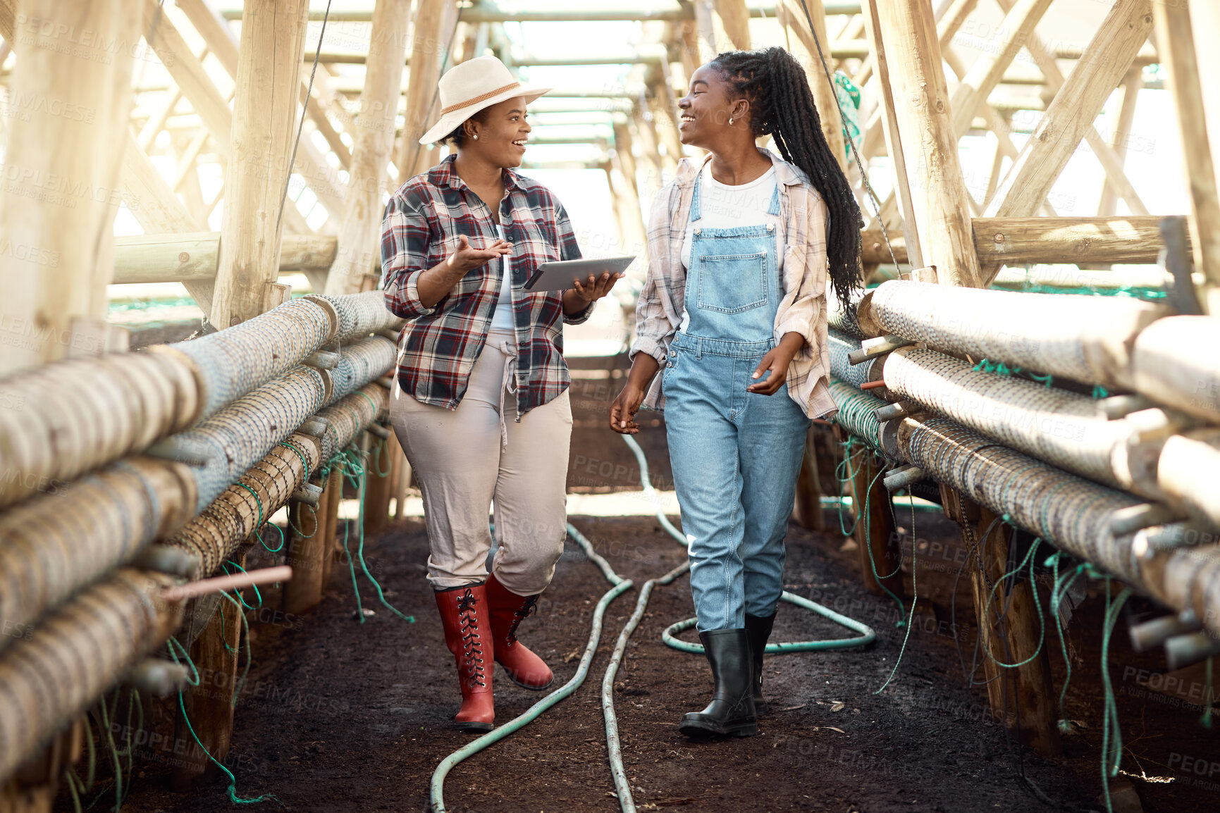 Buy stock photo Happy farmers walking through a greenhouse. farmers talking, using a digital tablet. African american farmers talking. Smiling farm workers walking through a garden. Farmers using a digital device.