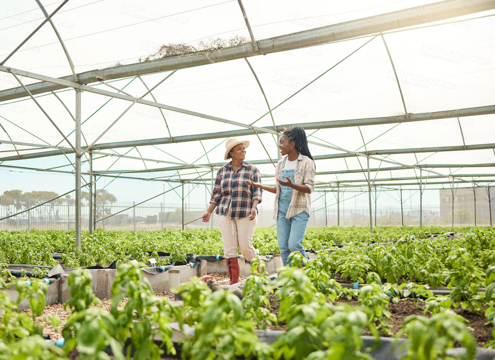 Buy stock photo Two farming colleagues walking in a garden. Happy farmers talking, planning in a greenhouse. Two african american farmers walking in their plant nursery. Smiling farmers collaborating.