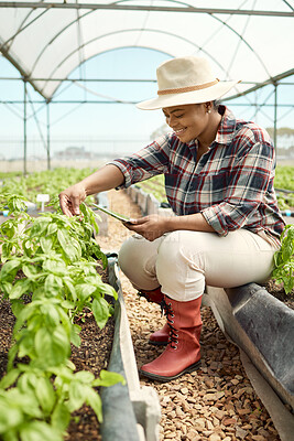 Buy stock photo Full body happy African American farmer sitting alone and using a digital tablet to check on plants in a greenhouse. Content black woman working on a farm and using technology. Sustainable environment