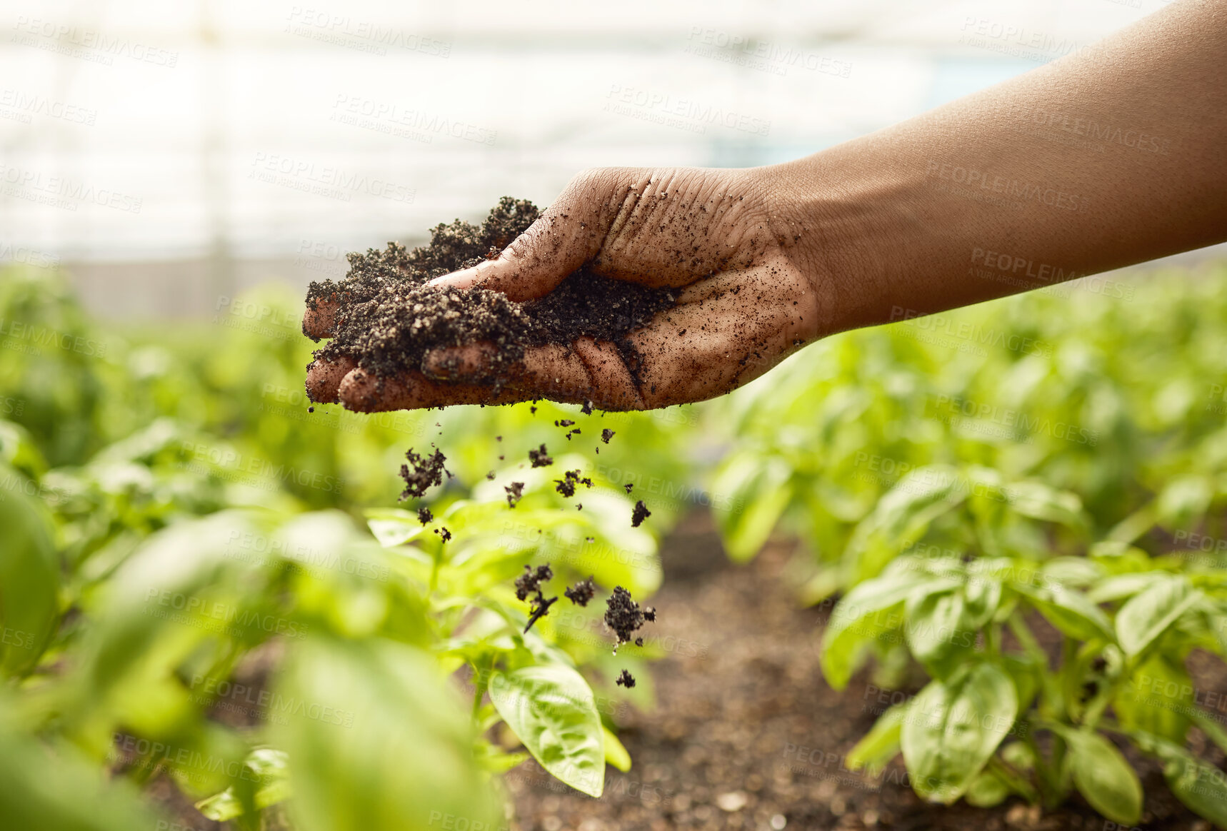 Buy stock photo Closeup of dirt falling from the hand of a farmer. hand of farmer checking soil quality. African american farmer in a greenhouse garden. Farmer about to plant in a garden. Farmer touching soil