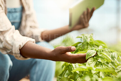 Buy stock photo Closeup on hand of farmer checking a plant. Farmer checking a plant with a wireless tablet. Hand of farmer checking a crop in a greenhouse. African american farmer in a garden