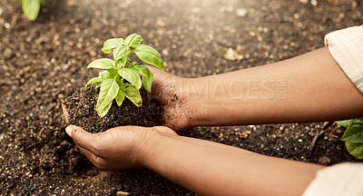 Buy stock photo Closeup of farmer holding dirt. African american farmer holding growing plant bud in soil. Farmer checking the conservation of growing plants. Farmer holding a sprouting seedling in dirt.